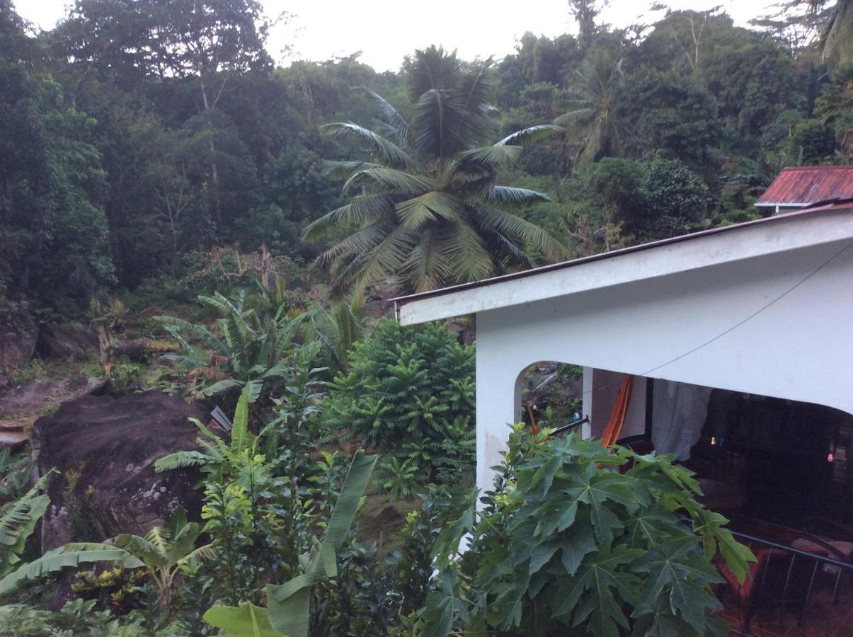 Papayas Self Catering Room Victoria Bagian luar foto