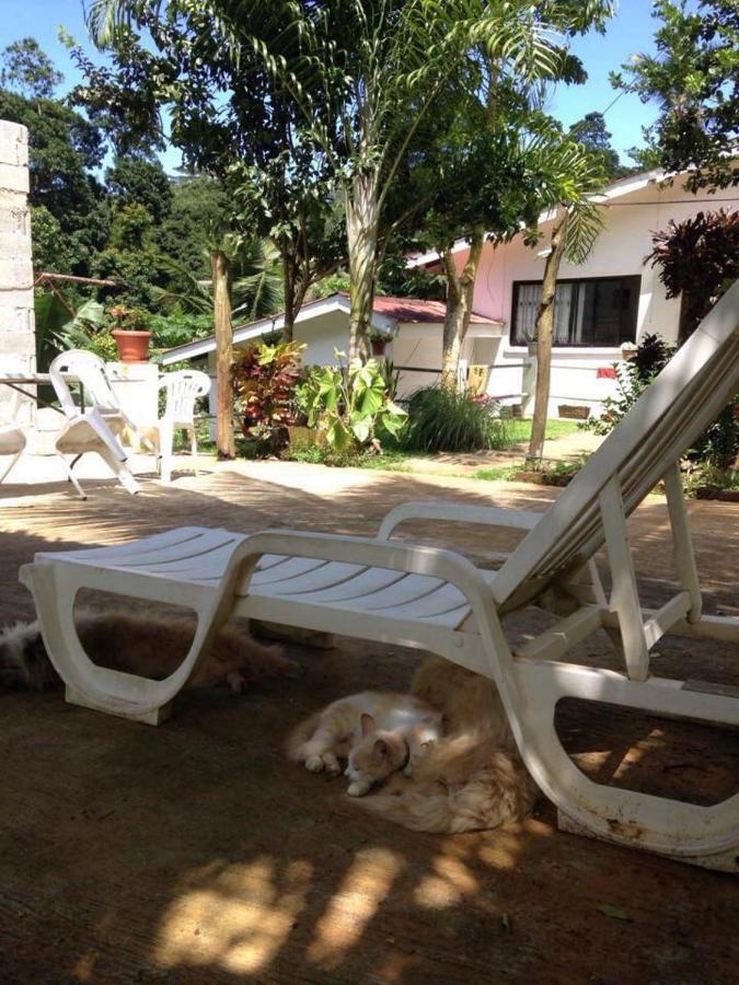 Papayas Self Catering Room Victoria Bagian luar foto