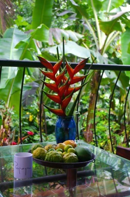 Papayas Self Catering Room Victoria Bagian luar foto