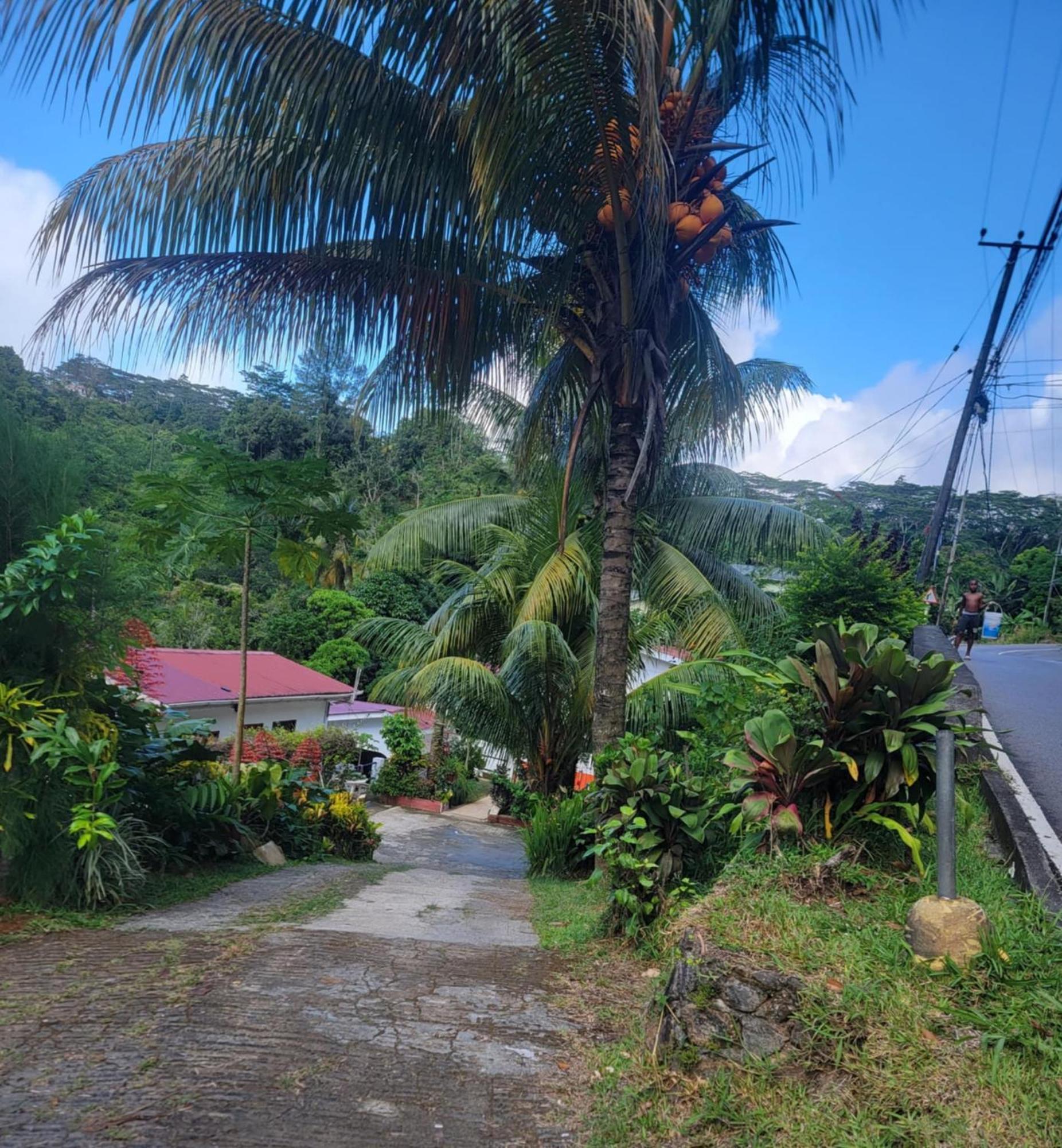 Papayas Self Catering Room Victoria Bagian luar foto